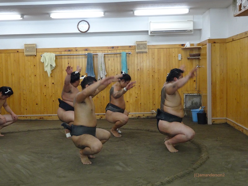 Sumo practice